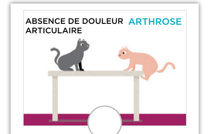 Illustration : chat hésitant avant de sauter en hauteur