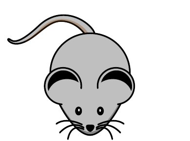 Illustration : souris